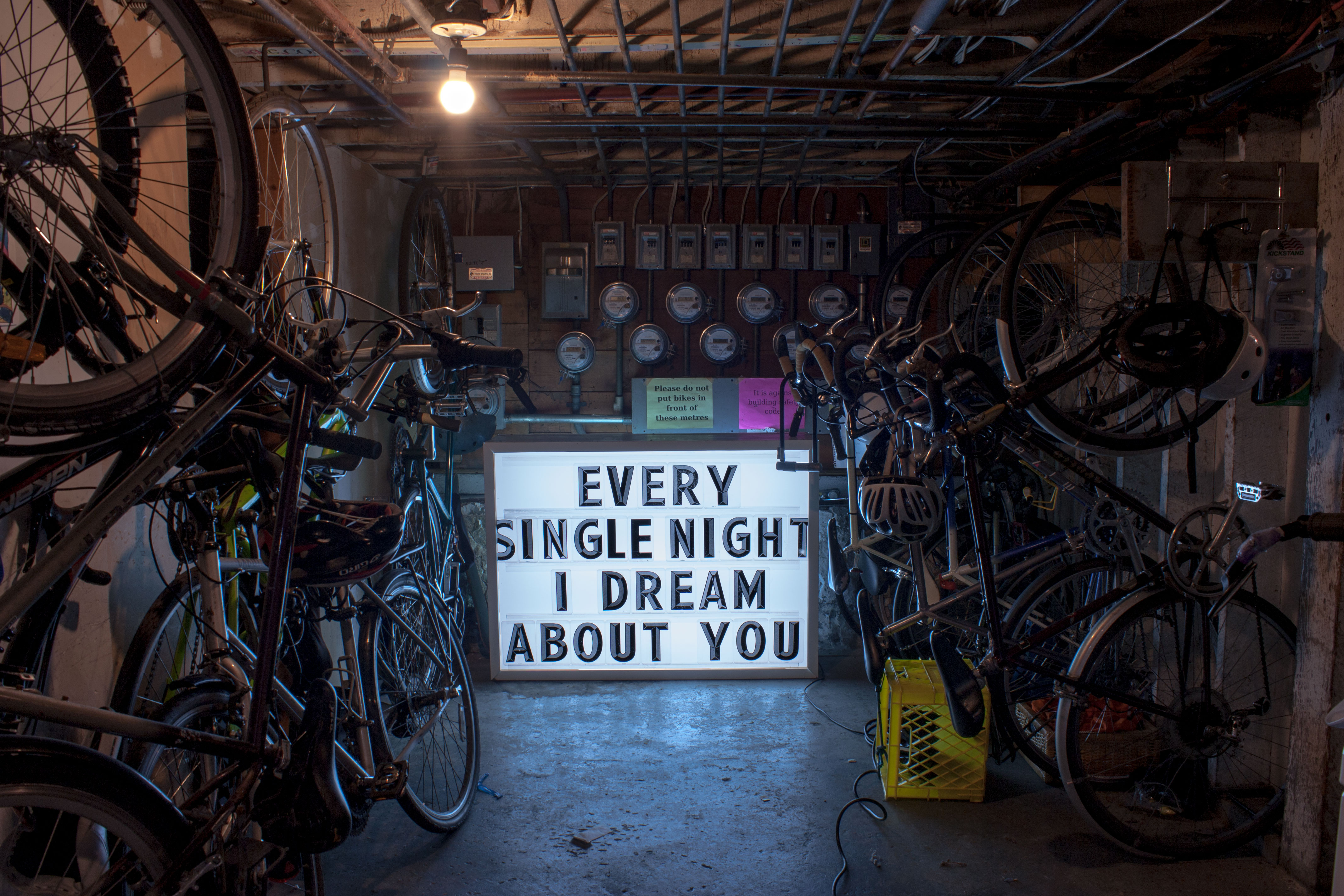 Every Single Night Electric Signs Elizabeth Charters